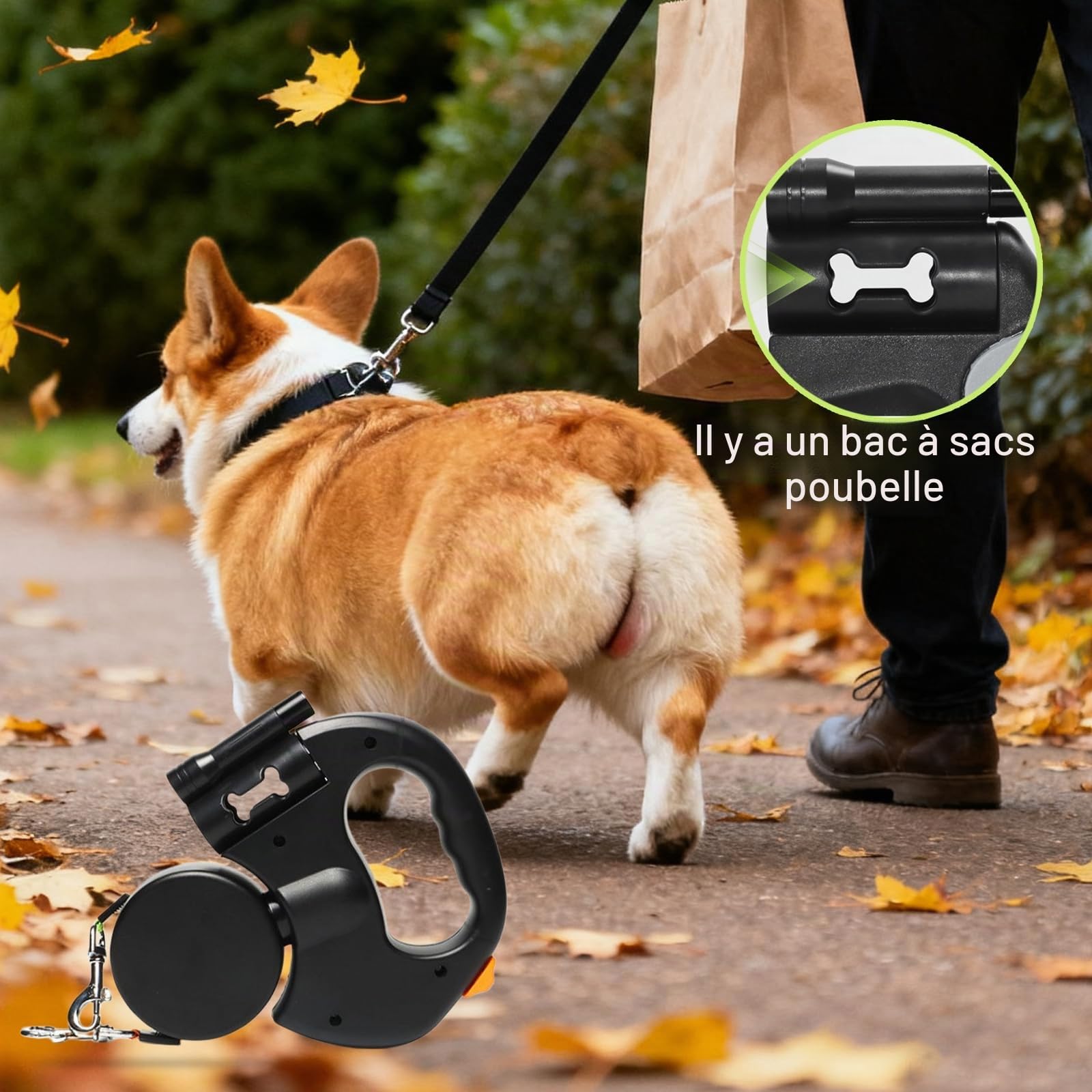Laisse double rétractable pour chien, laisse enroulable avec lumière LED, laisse double extensible pour 2 chiens, laisse flexible 3M, poignée antidérapante, bouton de frein rapide pour chiens de