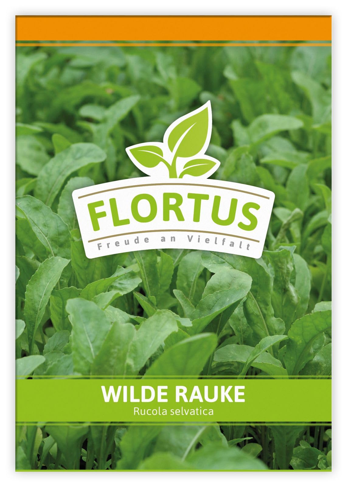 FLORTUS 2000-0450-100x Wilde Rauke (100 Tütchen) (Wilde Raukesamen)