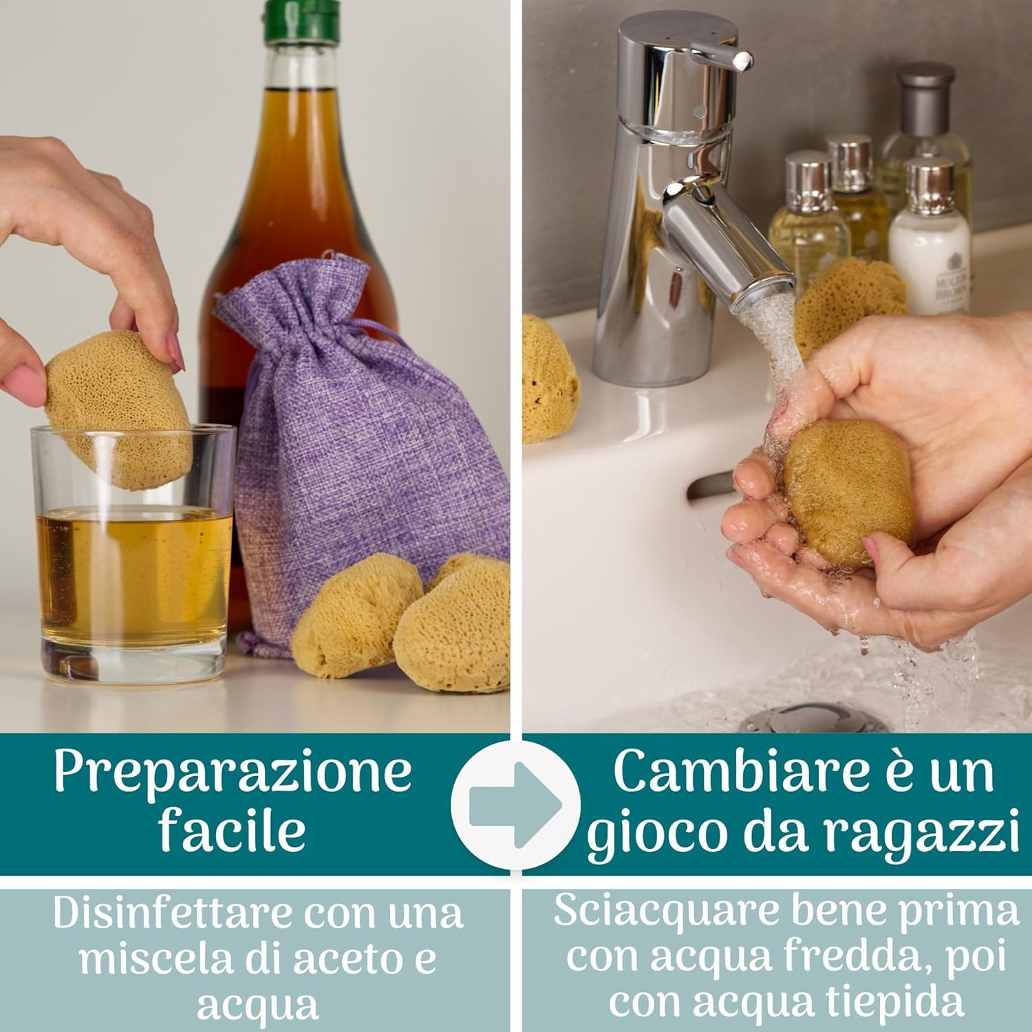 Spugna Naturale del Mediterraneo per il Corpo, Non Sintetica (5 PEZZI - SPUGNA MESTRUALE GRANDE DA 6-7 CM)