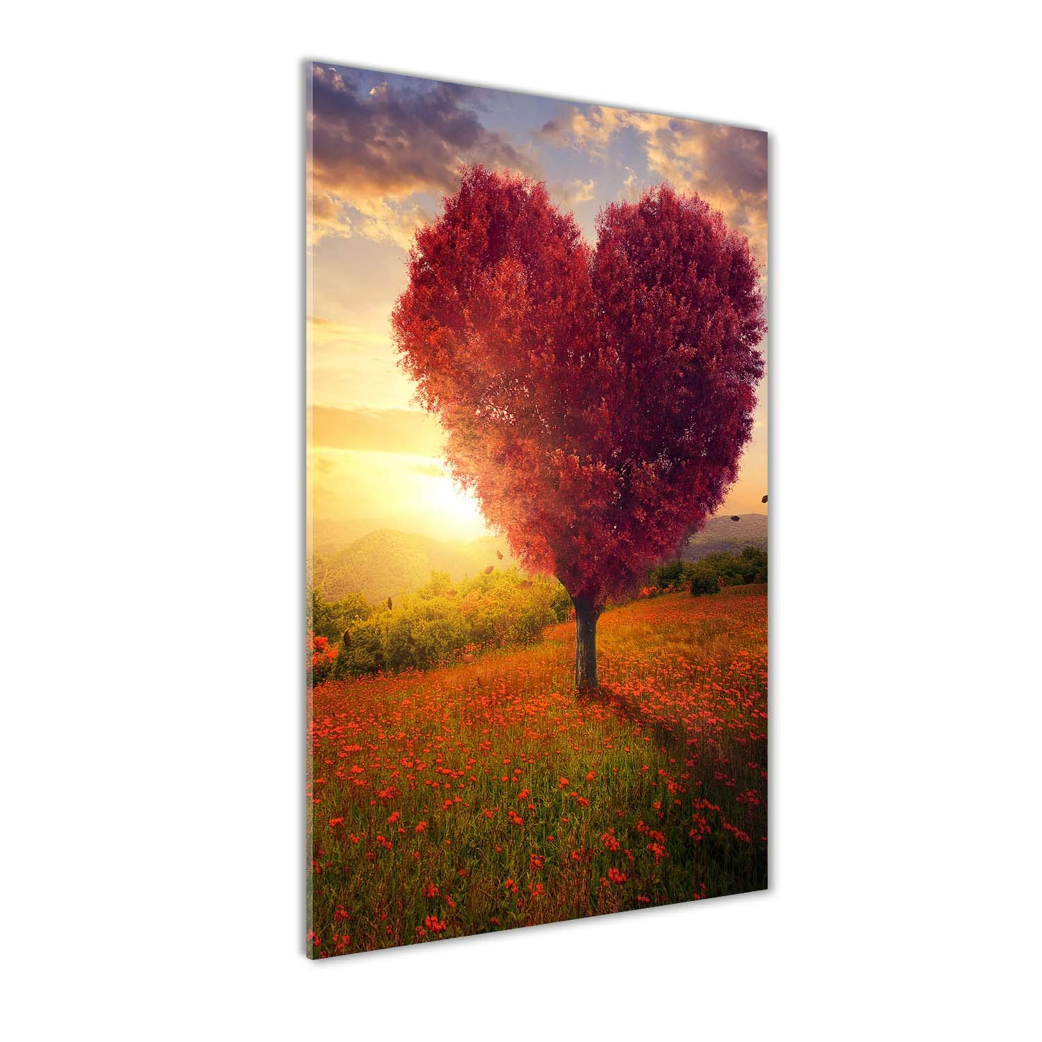 Déco mural derrière le plastique Tulup - Tableaux pour la mur - Image sur verre 50x100 cm