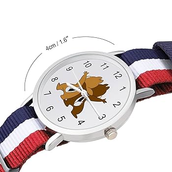 Amazon.co.jp: 腕時計 チップとデール 編組腕時計 ウォッチ うで