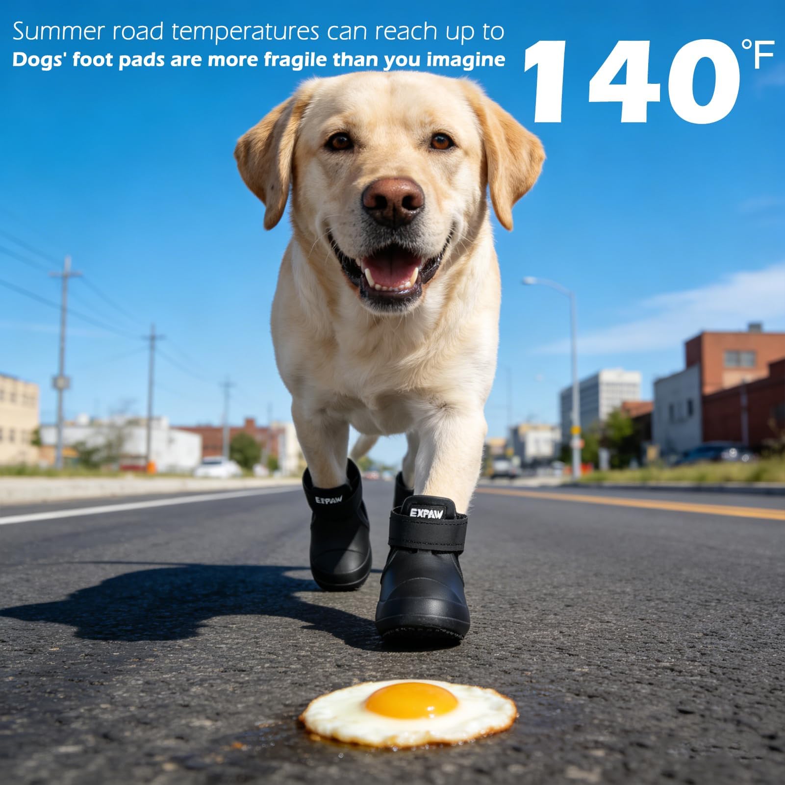 EXPAWLORER Chaussures pour chiens de petite, moyenne et grande taille, imperméables et antidérapantes pour l'hiver avec chaussettes, faciles à mettre et à enlever, bottes et protections de pattes pour