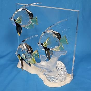 SWAROVSKI スワロフスキー Wonders of the sea 719cpBv7aSL._UF350,350_QL80_.jpg