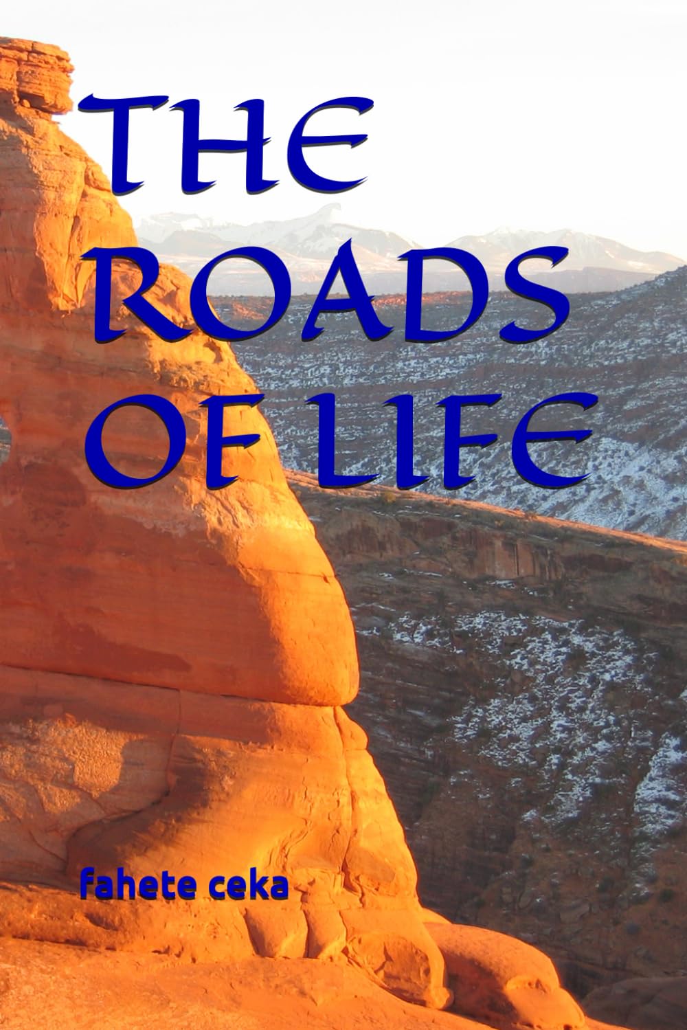 THE ROADS OF LIFE: PARAGRAPH
