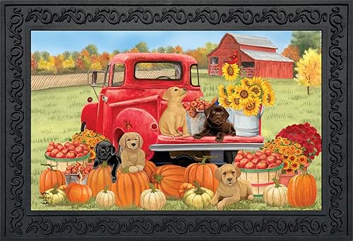 Briarwood Lane Felpudo de cachorros de otoño