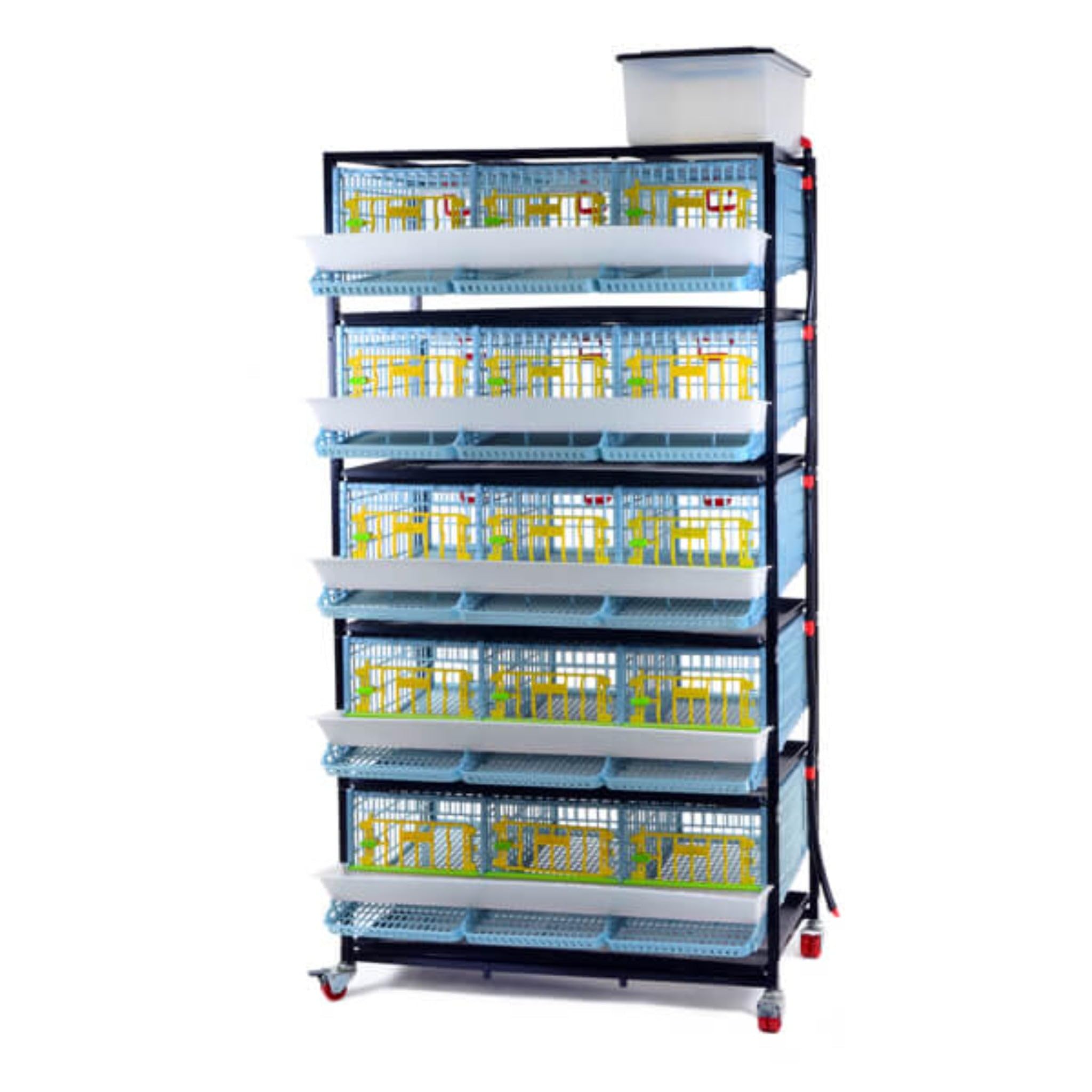 Hatching Time Quail Breeding Cage Indoor – 5 Layer Stackable Quail Coop, Easy Clean, Rust-Free, Power-Washable PP Plastic, Removable Middle Walls, Roll-Out Egg Trays | Comfortplast Design by Cimuka