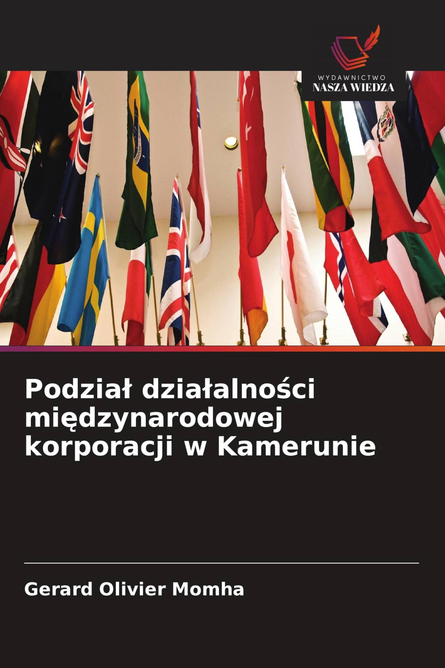 Podzia¿ dzia¿alno¿ci mi¿dzynarodowej korporacji w Kamerunie