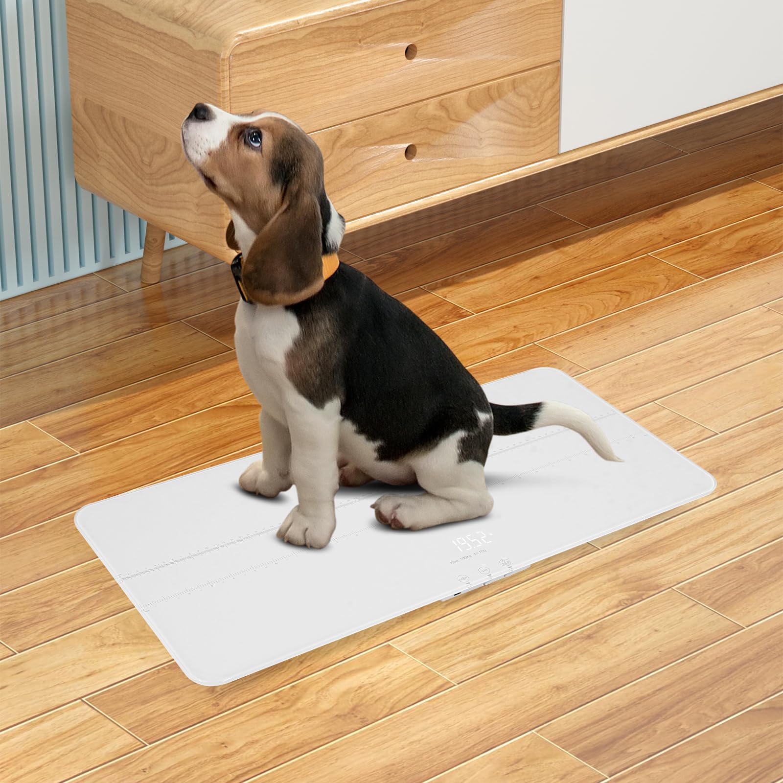 69 * 33Cm Digital Balanza para Animales para Perros y Gatos, de Vidrio Templado, Balanza para Perros 50g-100Kg con Pantalla LED, para Hogares, Tiendas de Mascotas, Blanco