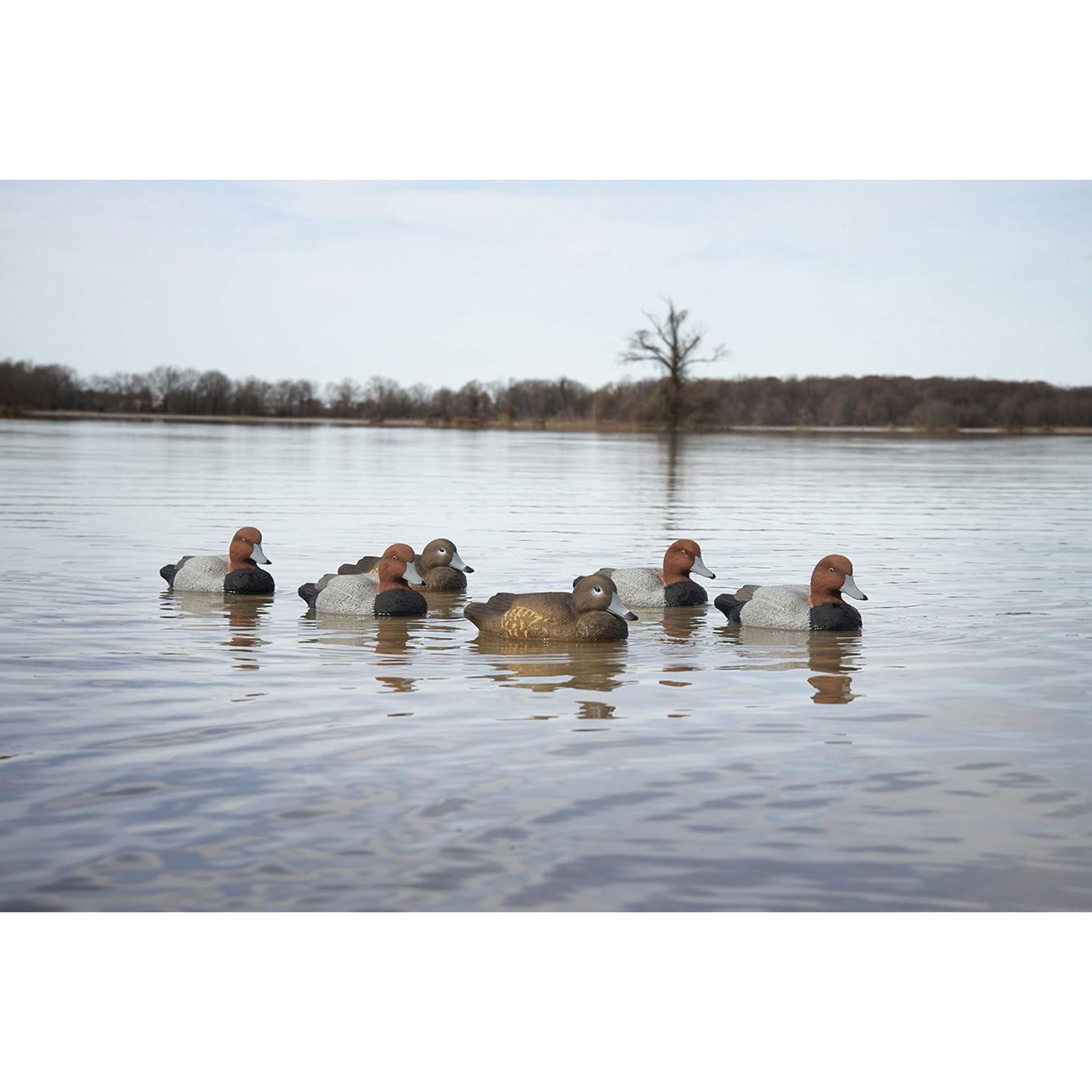 Higdon Outdoors Standard Red Head Duck Lockvogel, mit Schaumstoff gefüllt