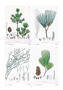 世界有用植物誌　「ビジュアル版」 世界有用植物誌 人類の暮らしを変えた驚異の植物 | ヘレン