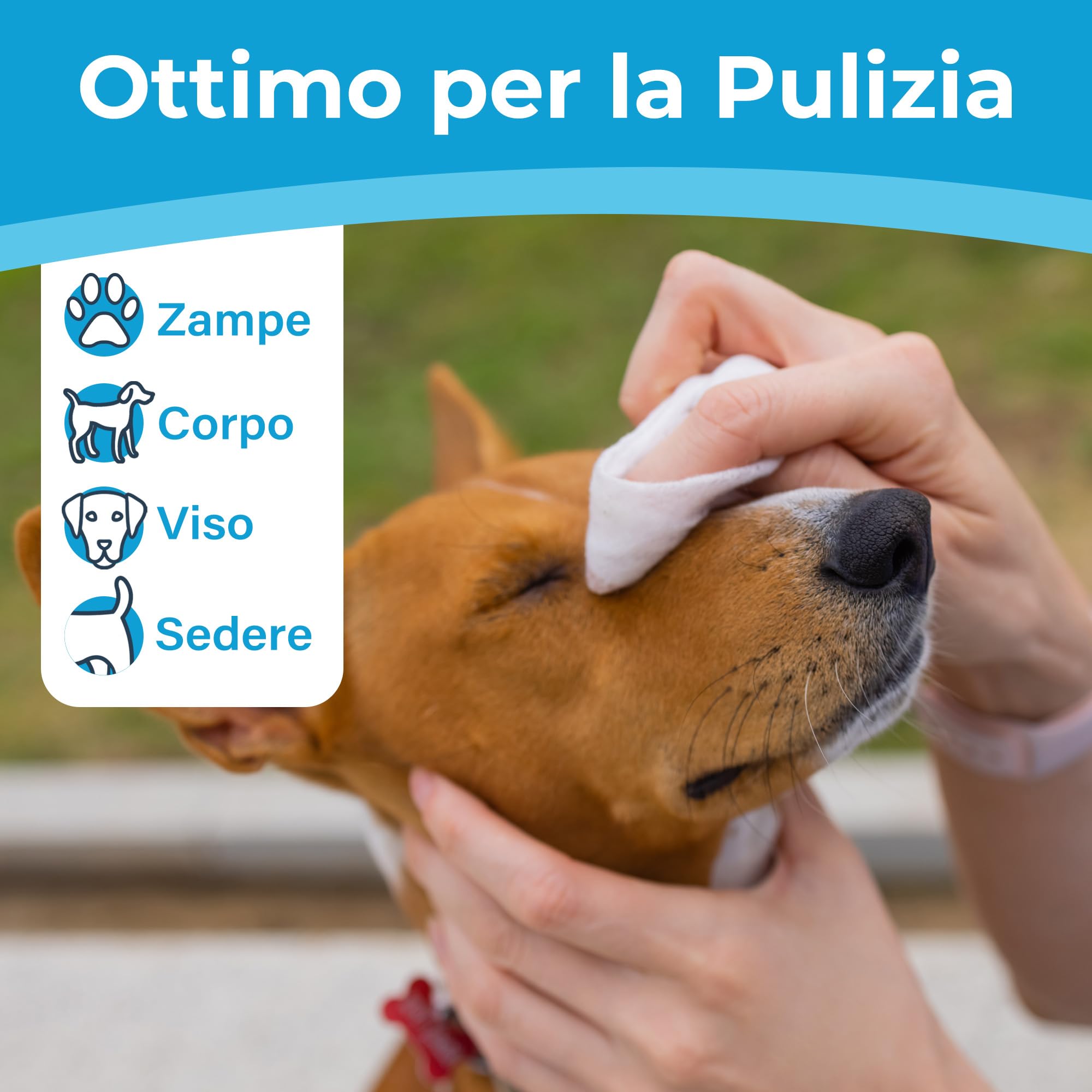 PrimePets Salviette Cane, 6 x 100 Pezzi, Salviette per Gatti, Salviette Delicate per la Toelettatura dei Cani, per la Pulizia di Sederino, Viso, Occhi, Orecchie, Zampe, Senza Profumo