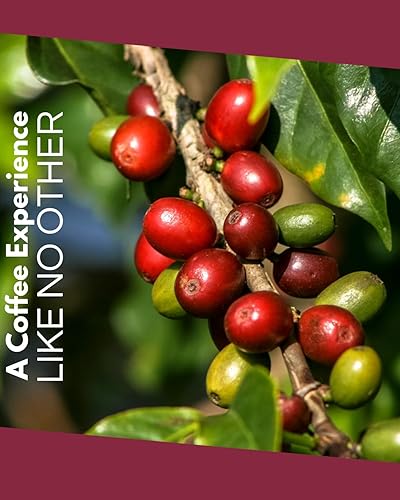 Miniatura 6 de La Cumbre Specialty Café en grano entero tostado medio, granos arábica, bajo en ácido, grano entero gourmet, vegano, kosher y apto para Keto,