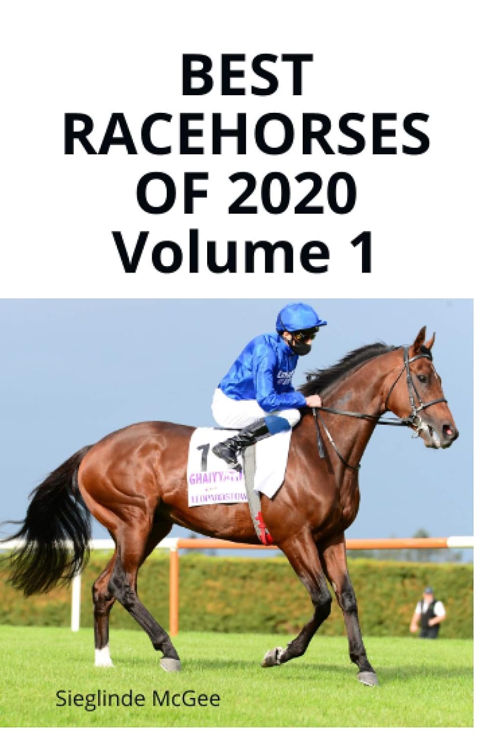 Best Racehorses of 2020 Volume 1