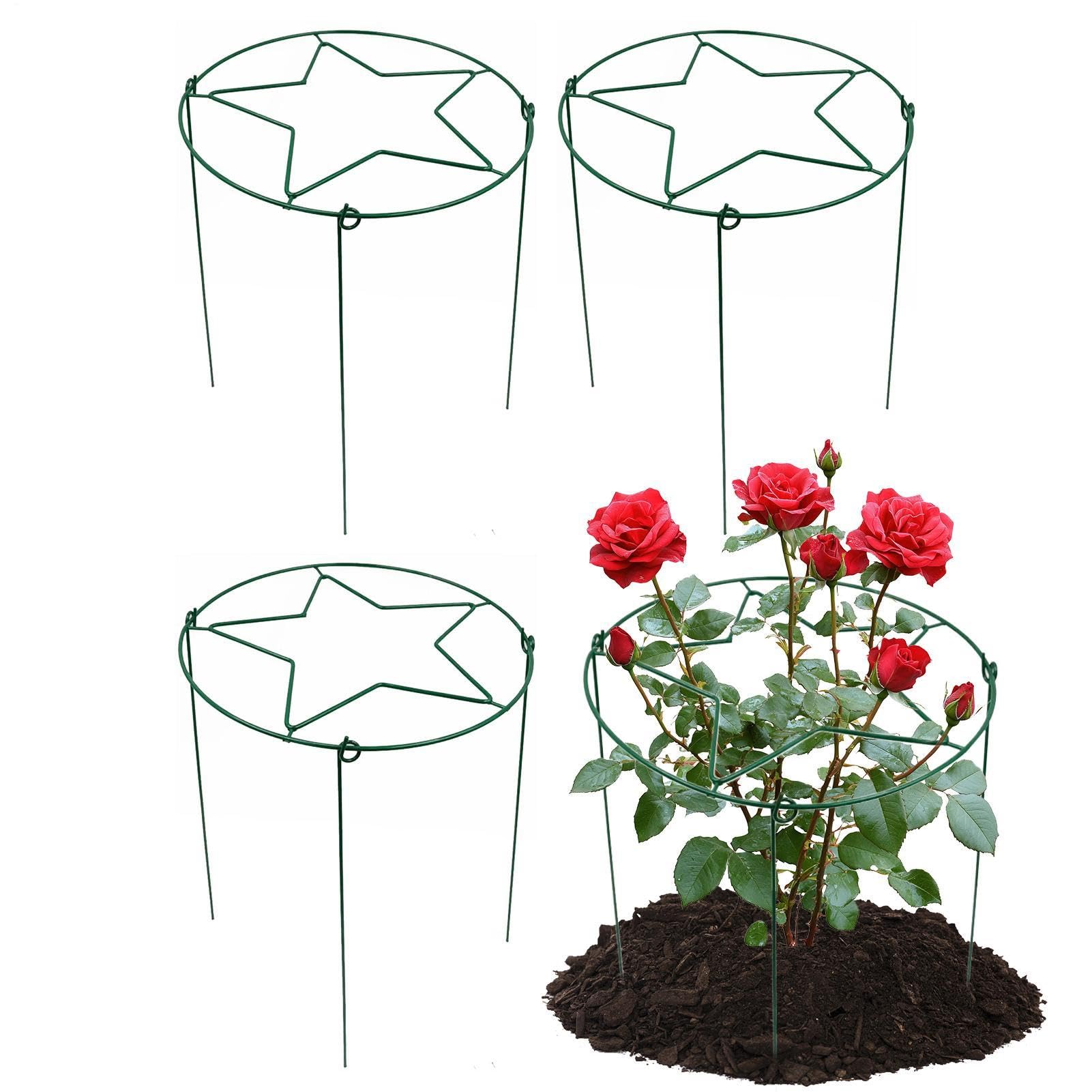 Tuteurs et Supports pour Pivoines 4 Pièces Métal Robuste Réutilisable