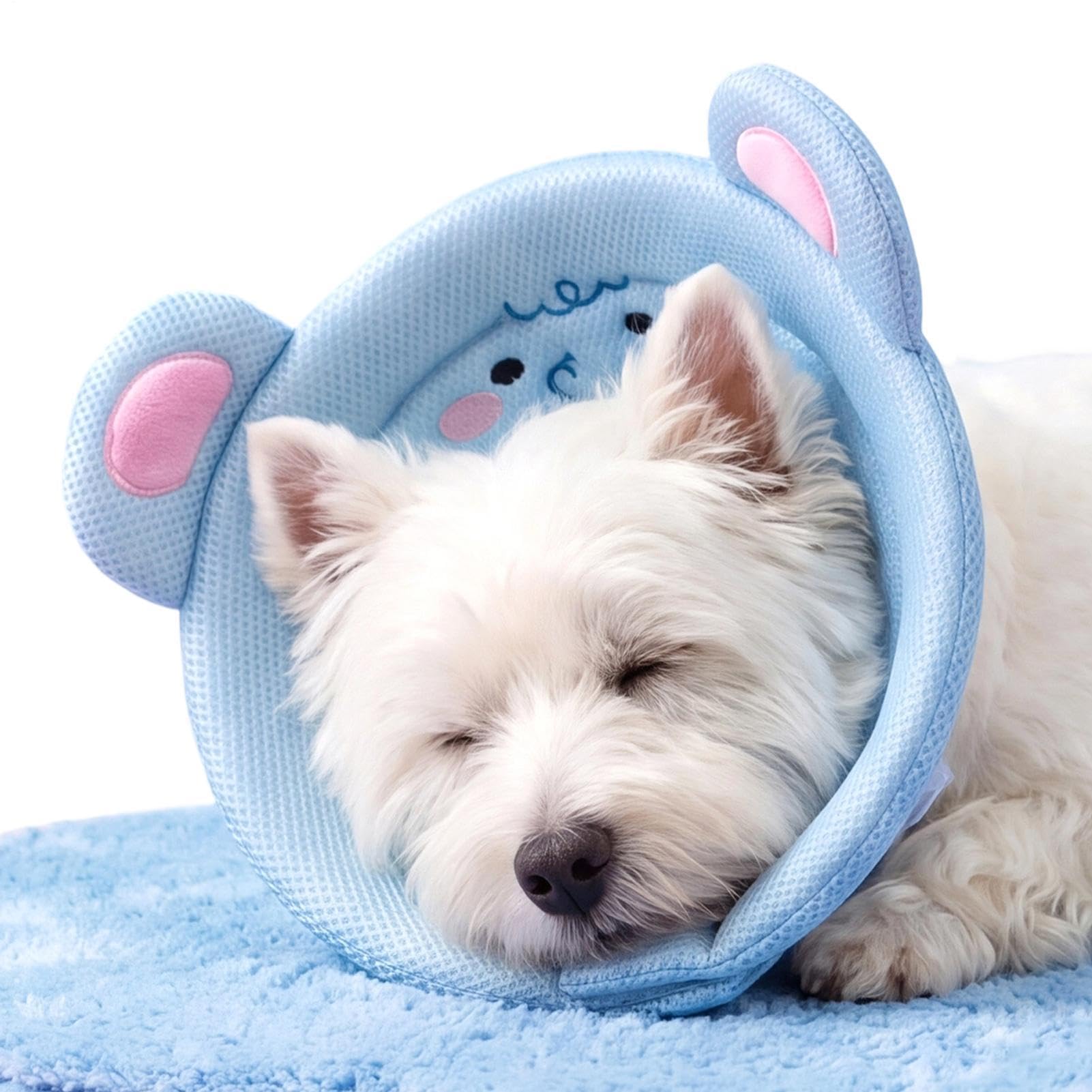 Cono suave para perro para esterilización y recuperación de heridas en casa