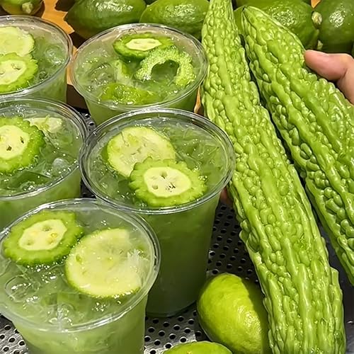 Miniatura 5 de Más de 50 semillas de melón amargo de 8 a 12 pulgadas de rápido crecimiento de calabaza amarga piel verde calabaza amarga bálsamo de calabaza