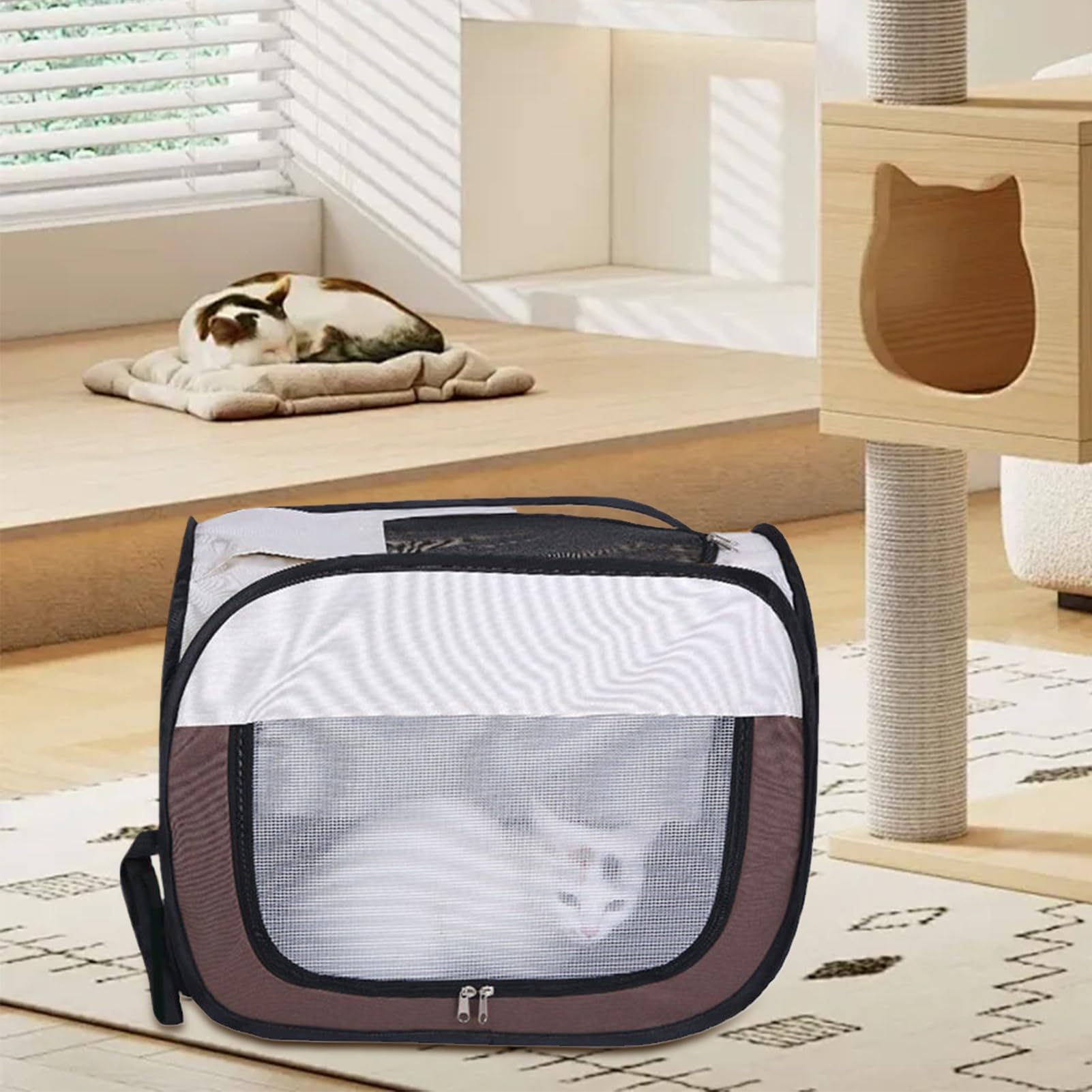 Asciugatrice per gatti, asciugatrice per cani e cabine di essiccazione, accessorio impermeabile anti-proiezione di per toelettatura, bagni e pulizia di cuccioli e gatti