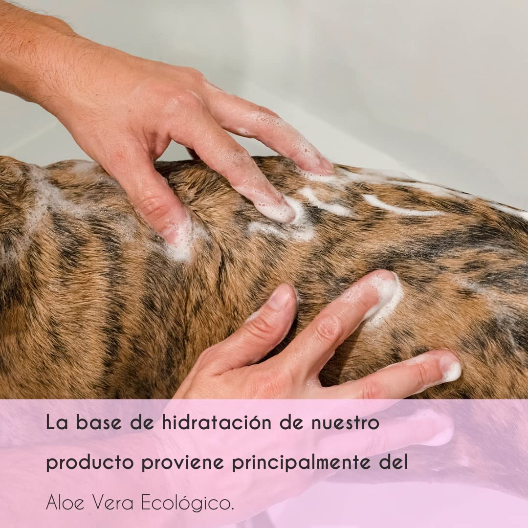 Petuxe Champú Perros y Mascotas Vegano, Pelo Blanco, 5000 Milliliter