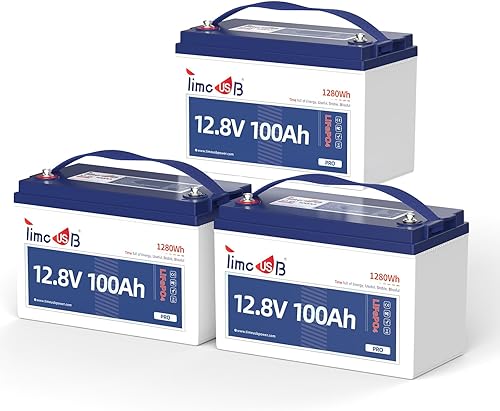 Timeusb Paquete de 3 baterías Pro LiFePO4 de 12 V 100 Ah, celdas de batería de grado A, batería de litio compacta, BMS de 100 A integrado, vida útil