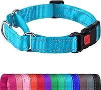 Vista 13 de Joytale Collar Martingale para perros, reflectante resistente para mayor seguridad, hebilla de liberación rápida, collares de nailon ajustables