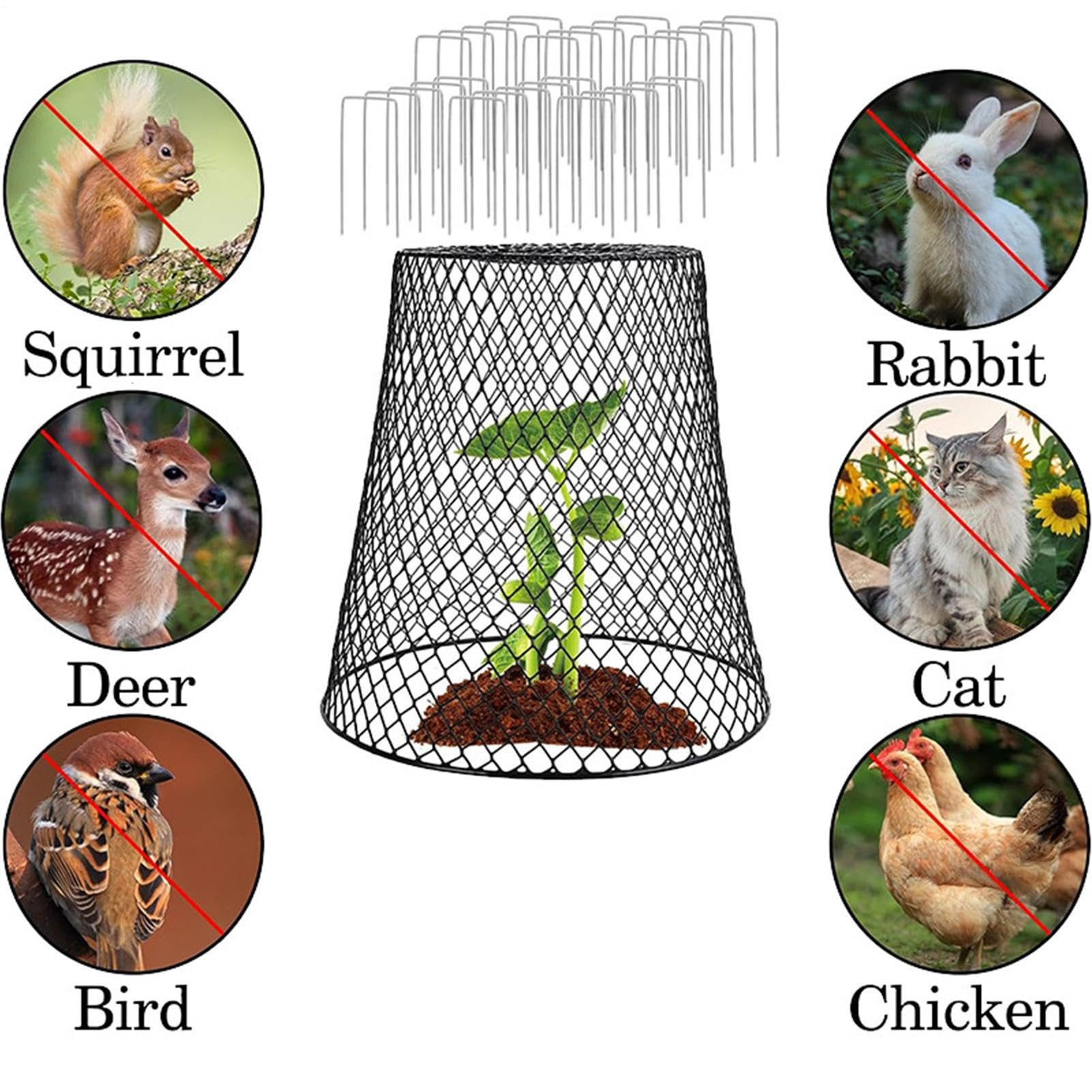 Cloches de Protection pour de Jardin 5 Pièces de Clôture Anti-Animaux en | Cloche De Protection Pour En Grillage À Poule Pour Les Légumes, Les Myrtilles, Fleurs, Et Arbustes