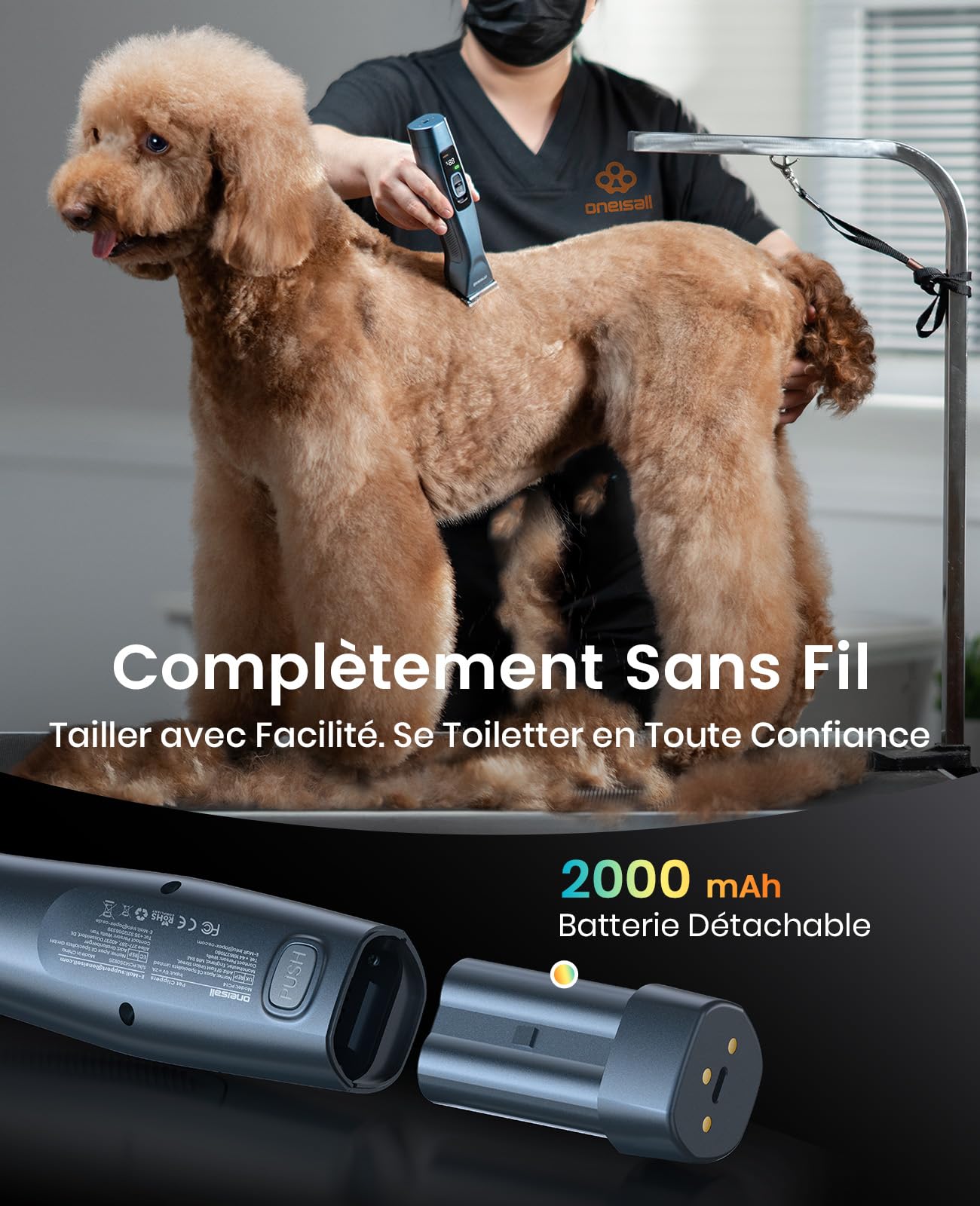 oneisall Tondeuse Professionnelle pour Chiens à Poils long epais, Tondeuse Chiens et Chats puissante, 2 Vitesses Silencieuse pour Animaux à Poils Epais|Longs|Bouclés, Batterie Amovible.