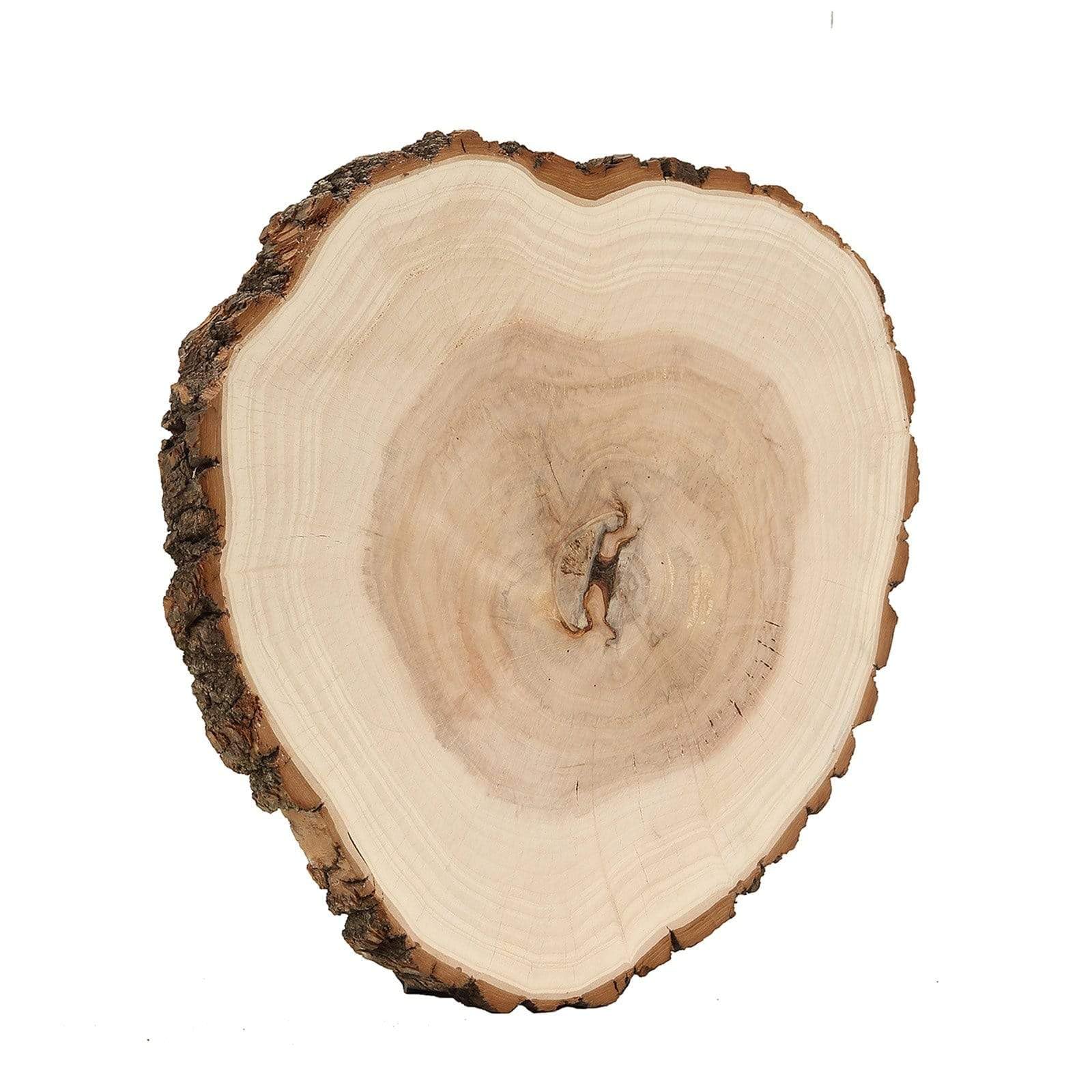 14-18 Inch Wide Natural Round Poplar Wooden Slices Discs for Rustic Wedding Centerpieces, Party Table Décor, DIY Crafts, Cake Stands, Wood Burning, and Home Decorations