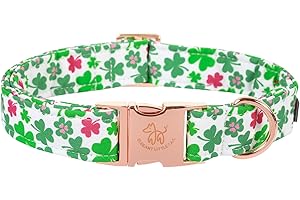 Elegant little tail St. Patrick's Day Dog Collar