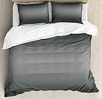 Vista 212 de Ambesonne Juego de funda de edredón color menta, líneas onduladas horizontales a rayas blancas abstractas de tonos suaves, exhibición de arte