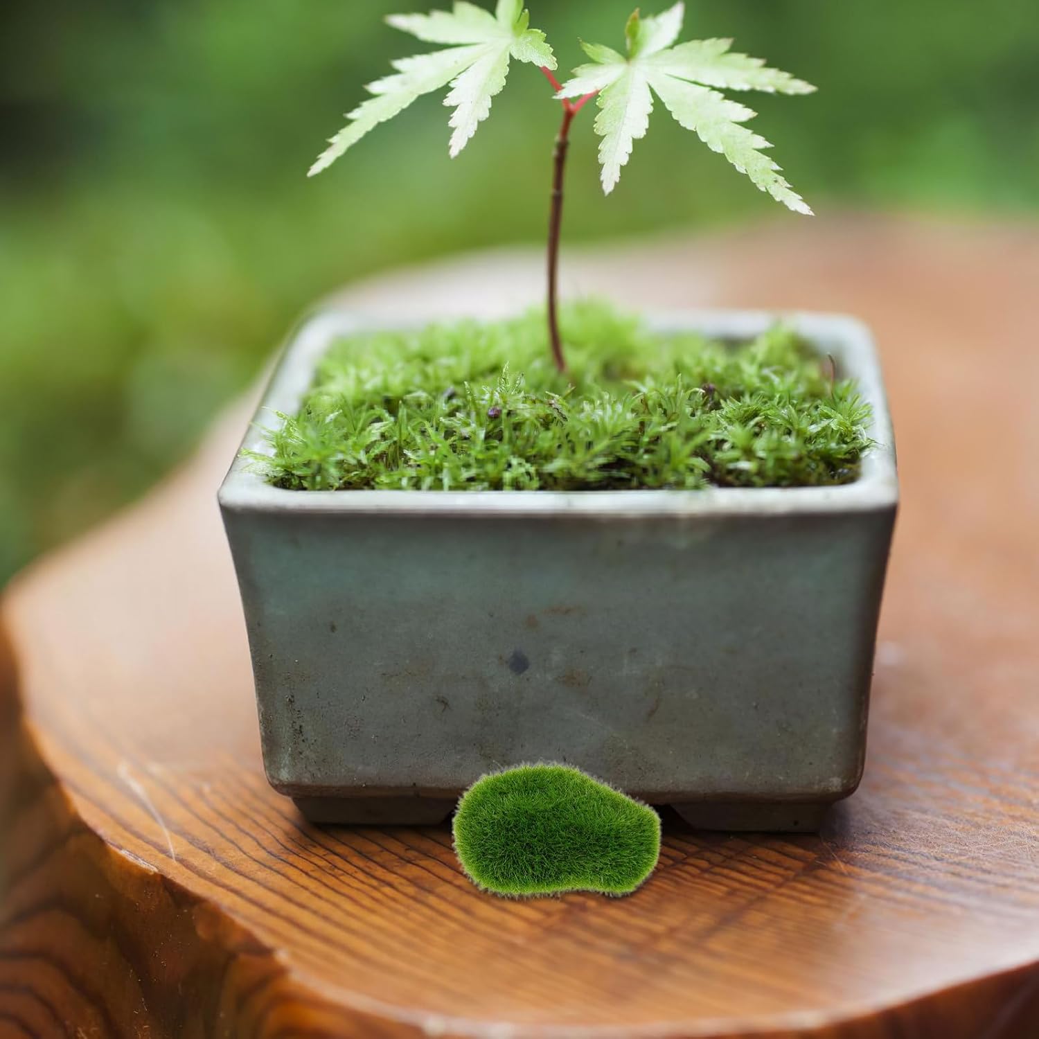 SAFIGLE 20pcs Artificial Moss Rocks Decorative Stones Green Moss for Floral Arrangements Garden Planter Crafts Fake for Fairy Garden and Home Decor