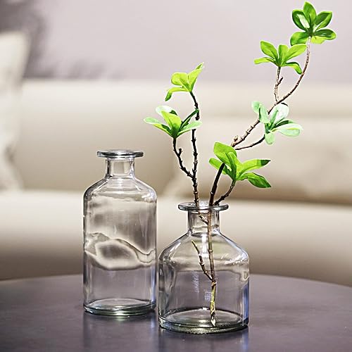 Miniatura 4 de Jarrones transparentes de 16 piezas, mini jarrones de flores, botellas de vidrio decorativas, centro de mesa para recepción de boda, botellas