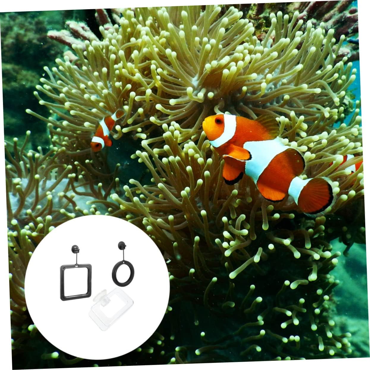 LIOOBO 3Pcs Floating Fish Feeding Rings Convenient Fish Food Feeders for Aquariums Easy Installation with Suction Cup for Flake Foods Enhances Tank Aesthetics image 2