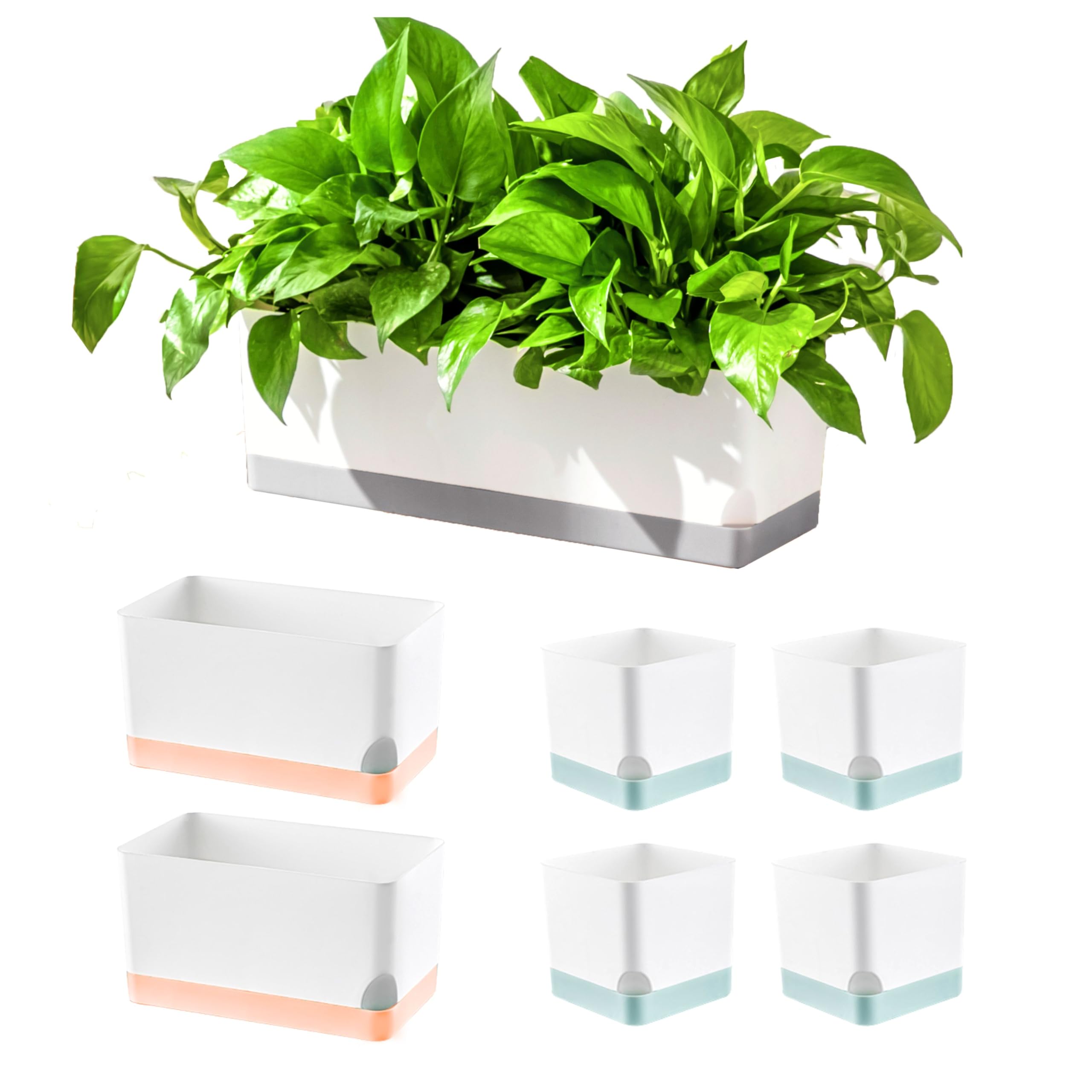LaLaGreen Indoor Planter Boxes for Plant (7 Pack) Window Flower Box Planter