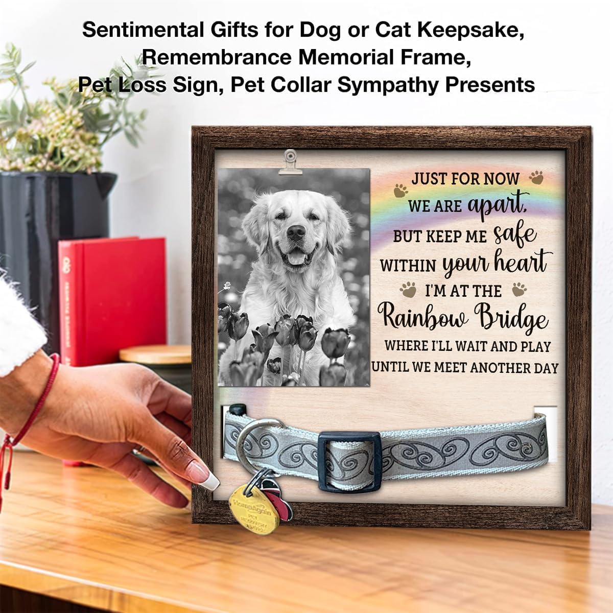 Pawfect House 9x9 IN Pet Picture Frame Memorial With Collar Holder, Loss Of Dog Sympathy Gift, In Loving Memory Of Cat Picture Frame, Dog Bereavement Gifts, Pet Memorial Gifts For Dogs
