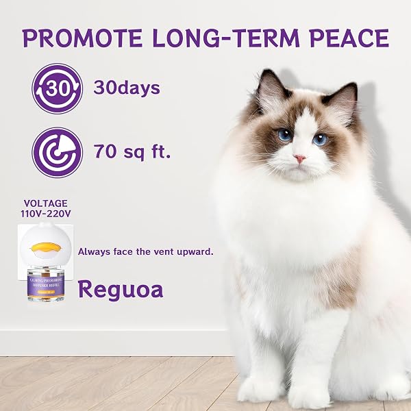 6 IN 1 Katze Pheromon Beruhigende Diffusor (2 Stecker + 4 Refills), Pheromon Diffusor für Katzen, Angst lindern, Helfen, Kämpfe zu reduzieren, Sprühen & Kratzern, Drogenfrei & Geruchlos Sicher 120 Tag - 3