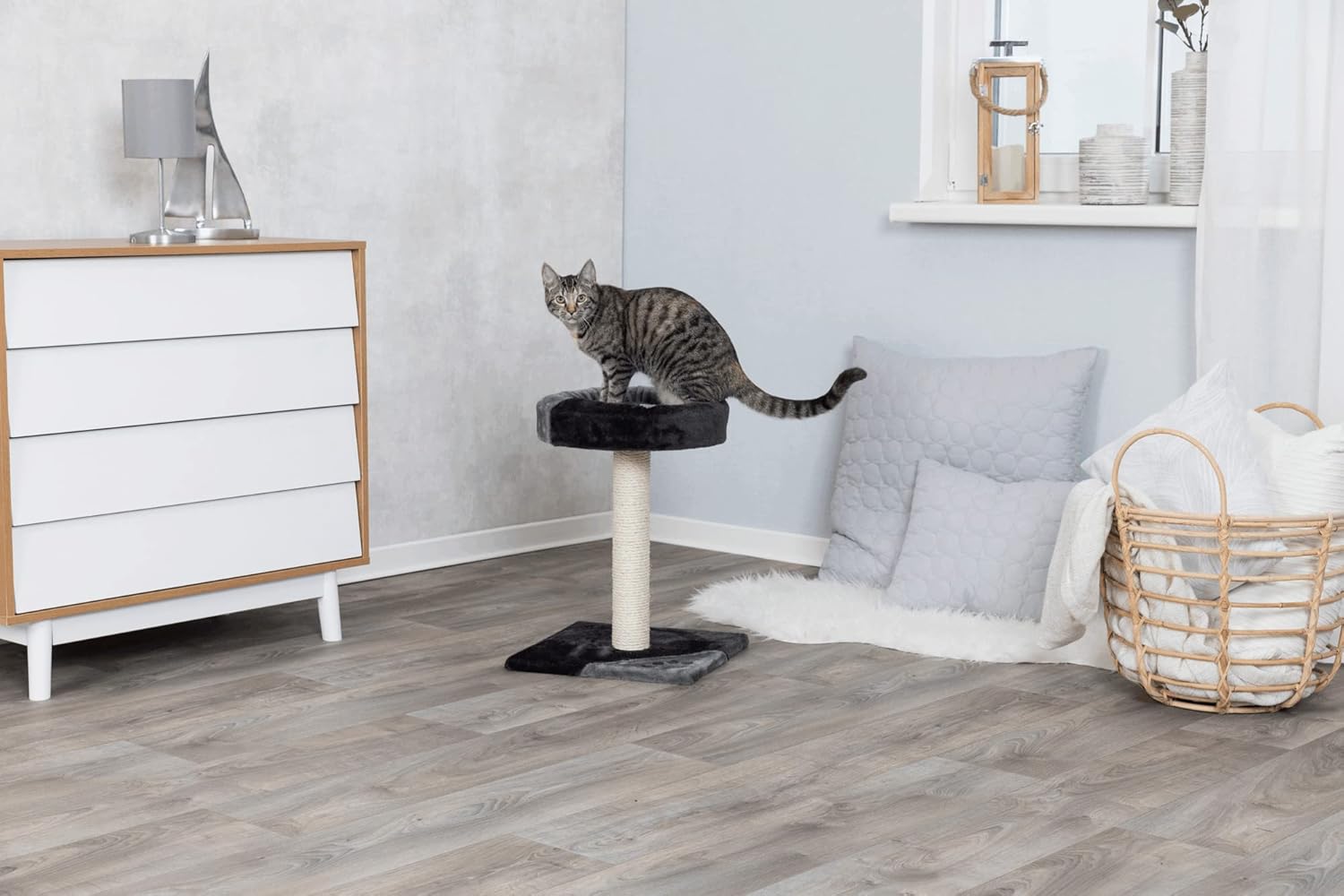 review TRIXIE Tarifa 20.5-in Cat Tree for Kittens, Sisal Scratching Post Topped with Padded Platform, Gray/Black