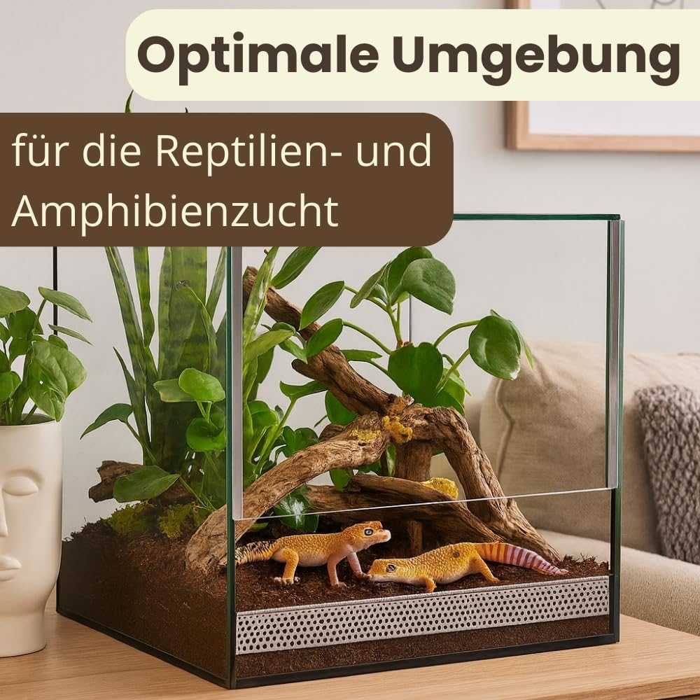 Terrarium 30x30x30 cm Schnecken Spinnen Amphibien Glas Terrarium Mit Belüftung Pflanzen Reptilienbecken Mit Falltür Glasterrarium 30 Klein