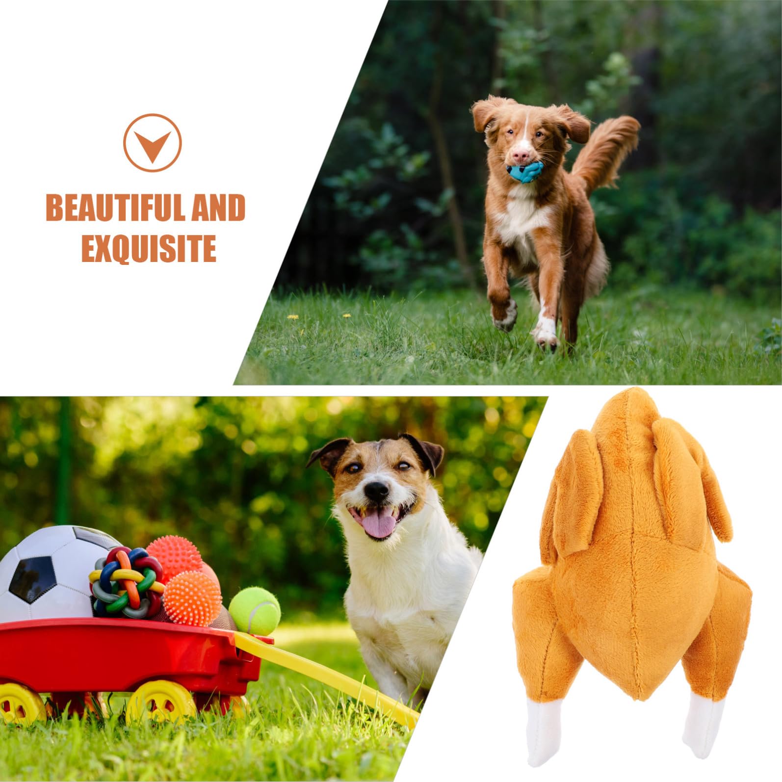 Kisangel 5pièces Jouet à Mâcher Squeaky pour Chiens Jouet Entraînement Sniffing Créatif pour Chiots Accessoire De Jeu Plein Air