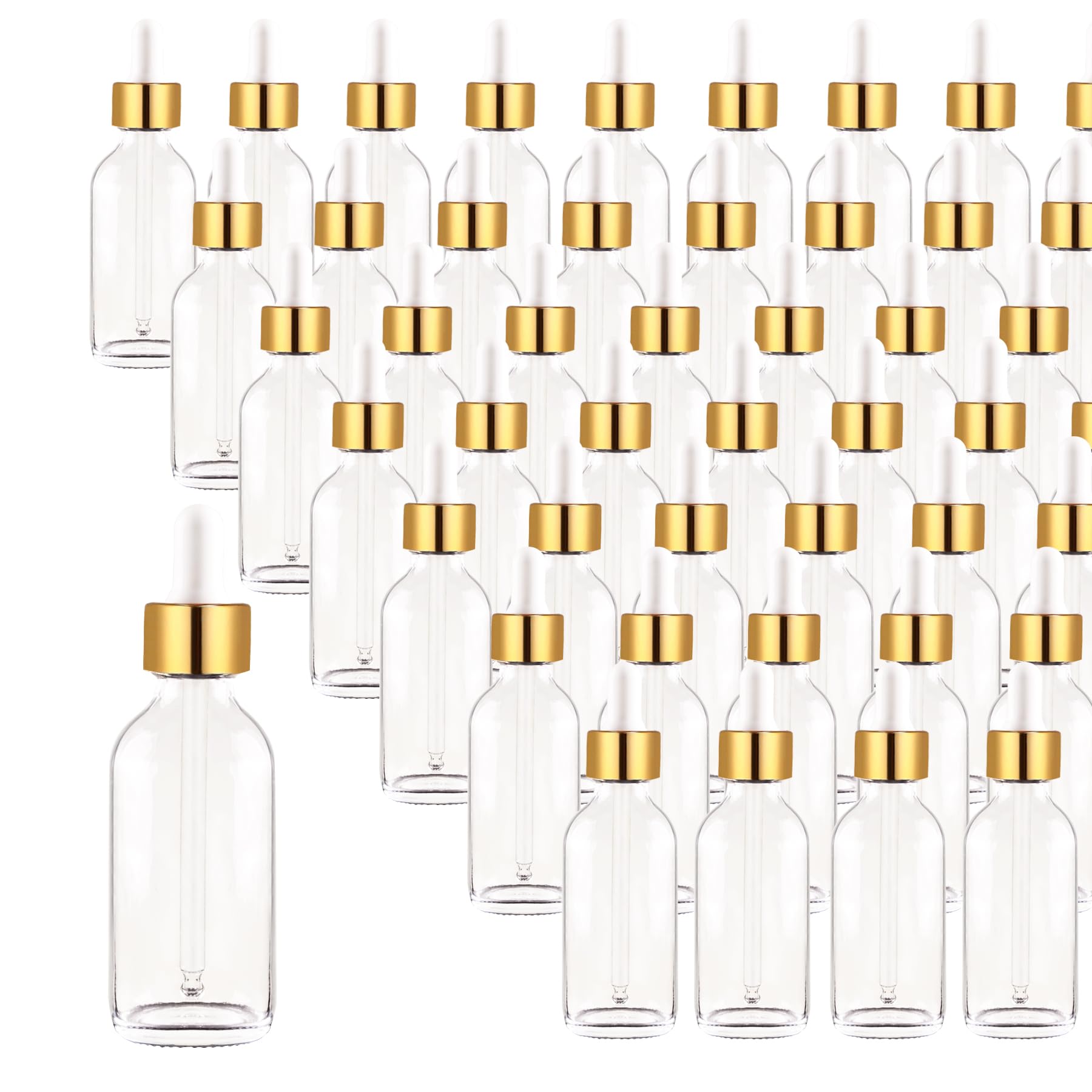 Easeen 48 Pack 2oz Clear Glass Dropper Bottles, Eye Dropper Bottles with Glass Droppers for Essential Oils, Perfumes(60ml, Gold)