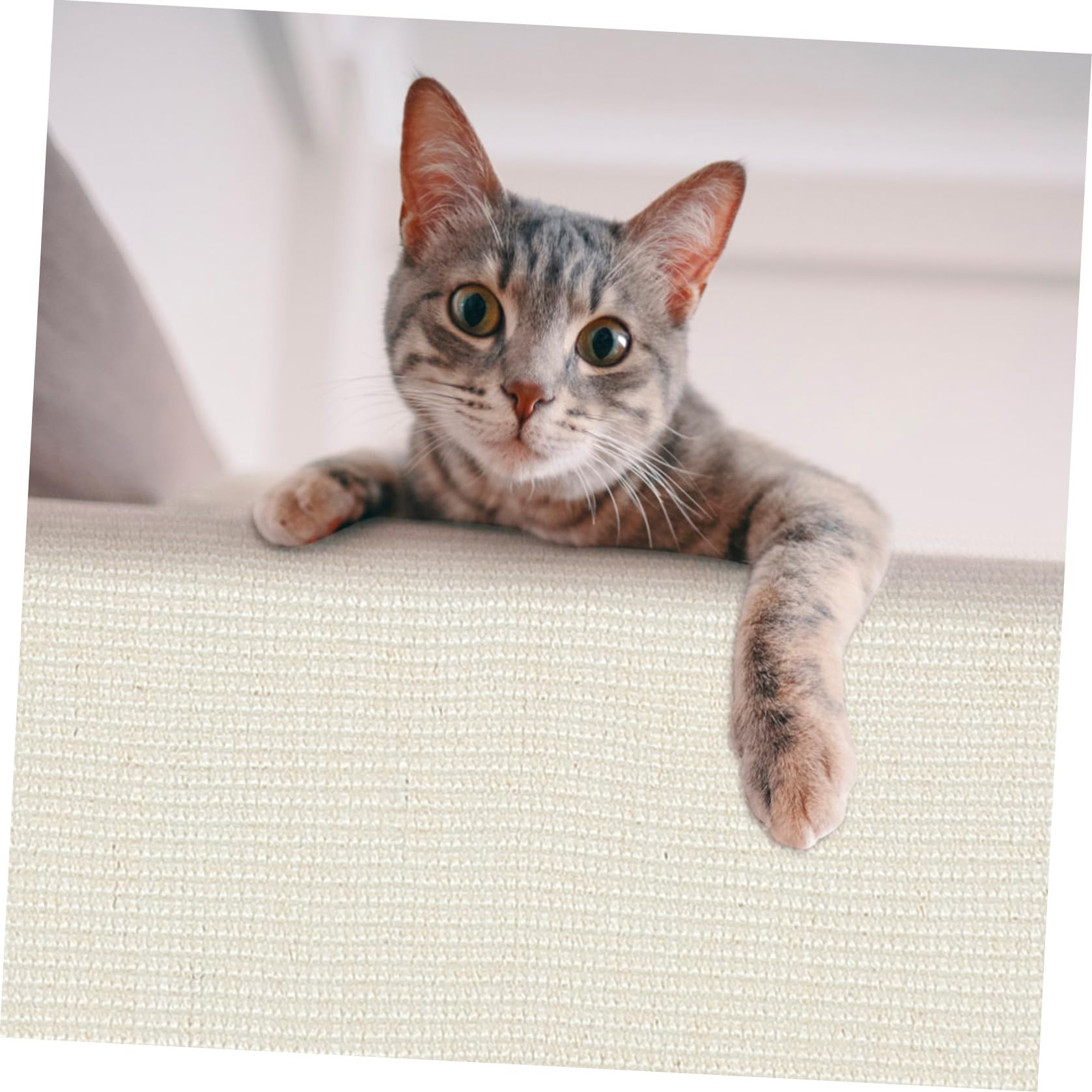 Abaodam Funda Protectora para Sofá Garra de Sisal para Gatos, Alfombra Antiarañazos, Entretenida y Resistente para Casa y Oficina