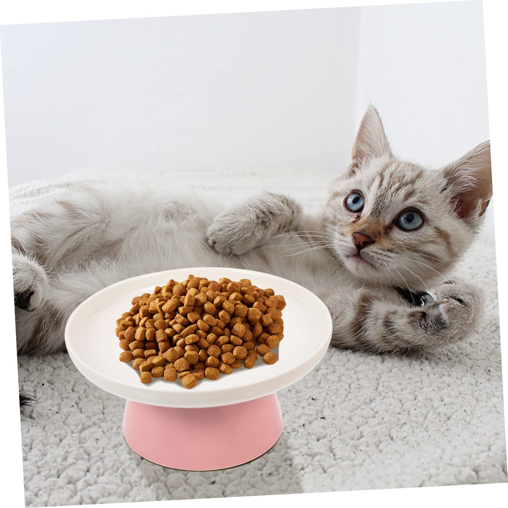 BELLIFFY Cat Bowl Stand Elevated Cat Dish for Household Washable Ceramic Tilted Function
