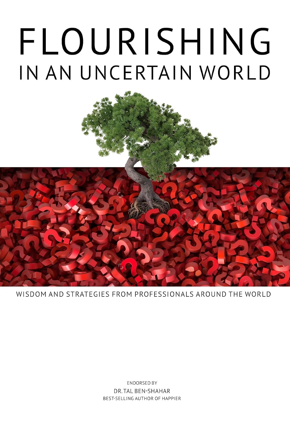 FLOURISHING IN AN UNCERTAIN WORLD: WISDOM AND STRATEGIES FROM PROFESSIONALS AROUND THE WORLD