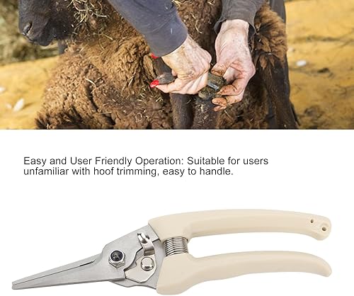 Miniatura 4 de Cortadora de pezuñas para ovejas, cordero, cerdos, tijeras de corte de pezuñas de primera calidad, perfectas para orejas de oveja, tijeras de uñas,