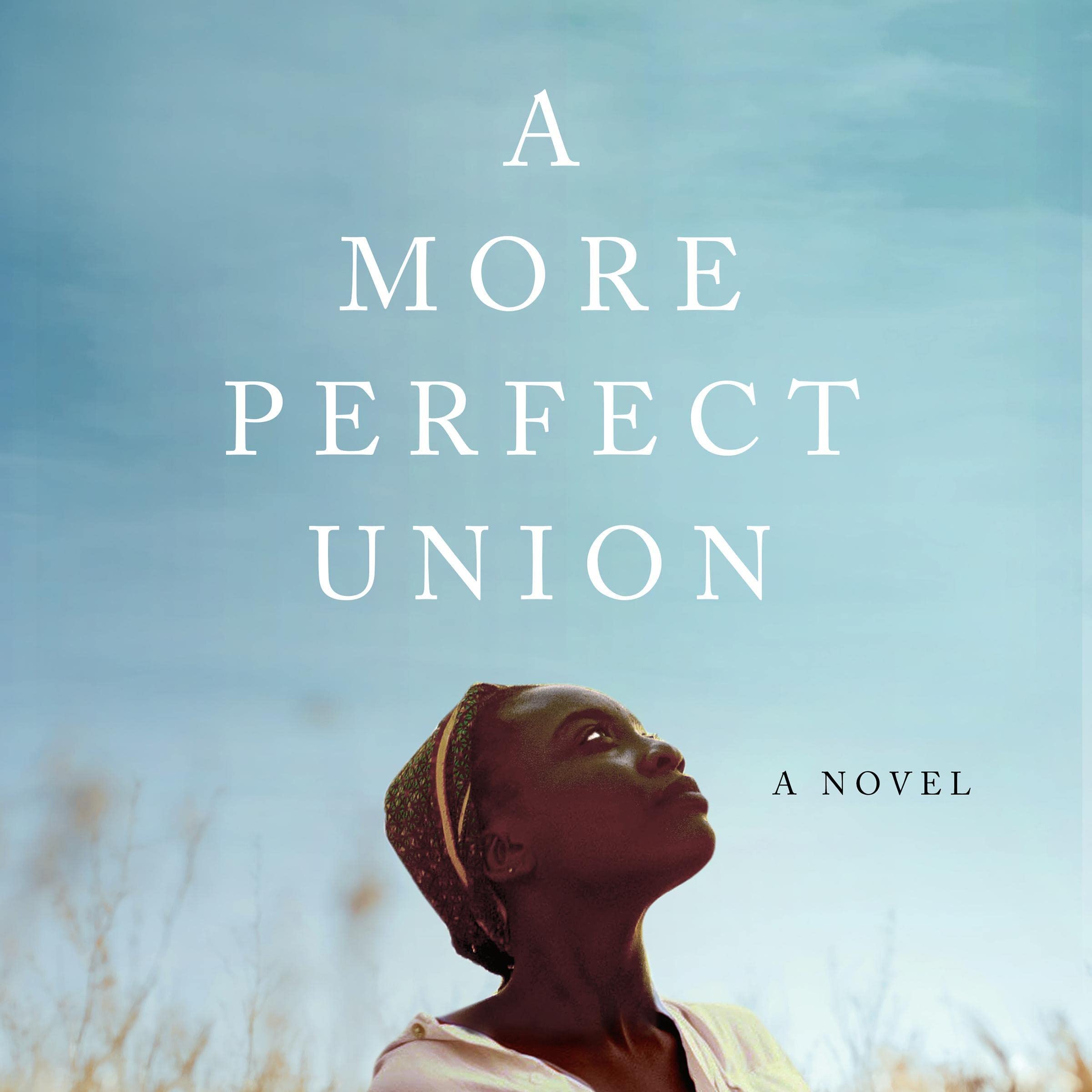 Cover art for A More Perfect Union