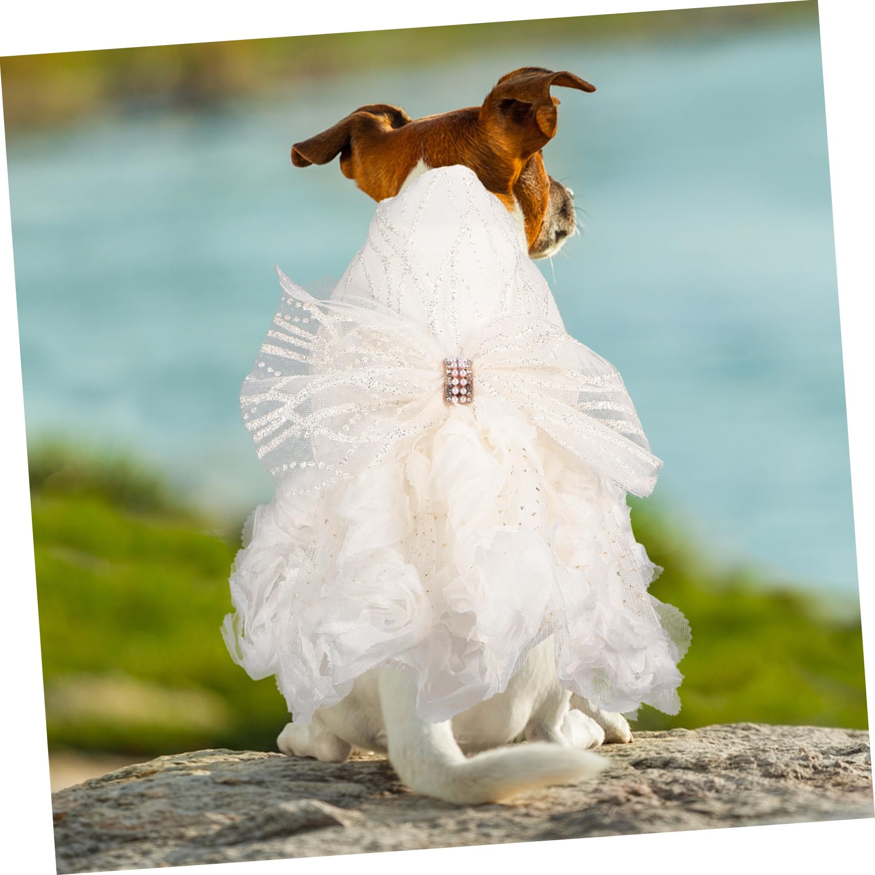 BESPORTBLE 3pezzi Abito Da Sposa Per Cani Con Gonna Tutù Elegante e Romantico Costume Da Matrimonio Per Cuccioli Abbigliamento Per Animali Domestici Stile Classico e Confortevole Per