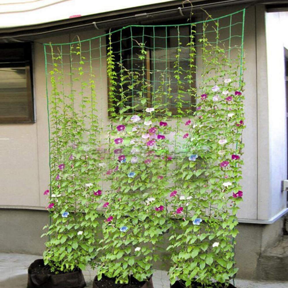 2 Filets De Treillis Végétal 1,8x5m | Nylon Résistant | Maille 10x10cm | Pour Plantes Grimpantes (Haricots, Tomates, Roses)