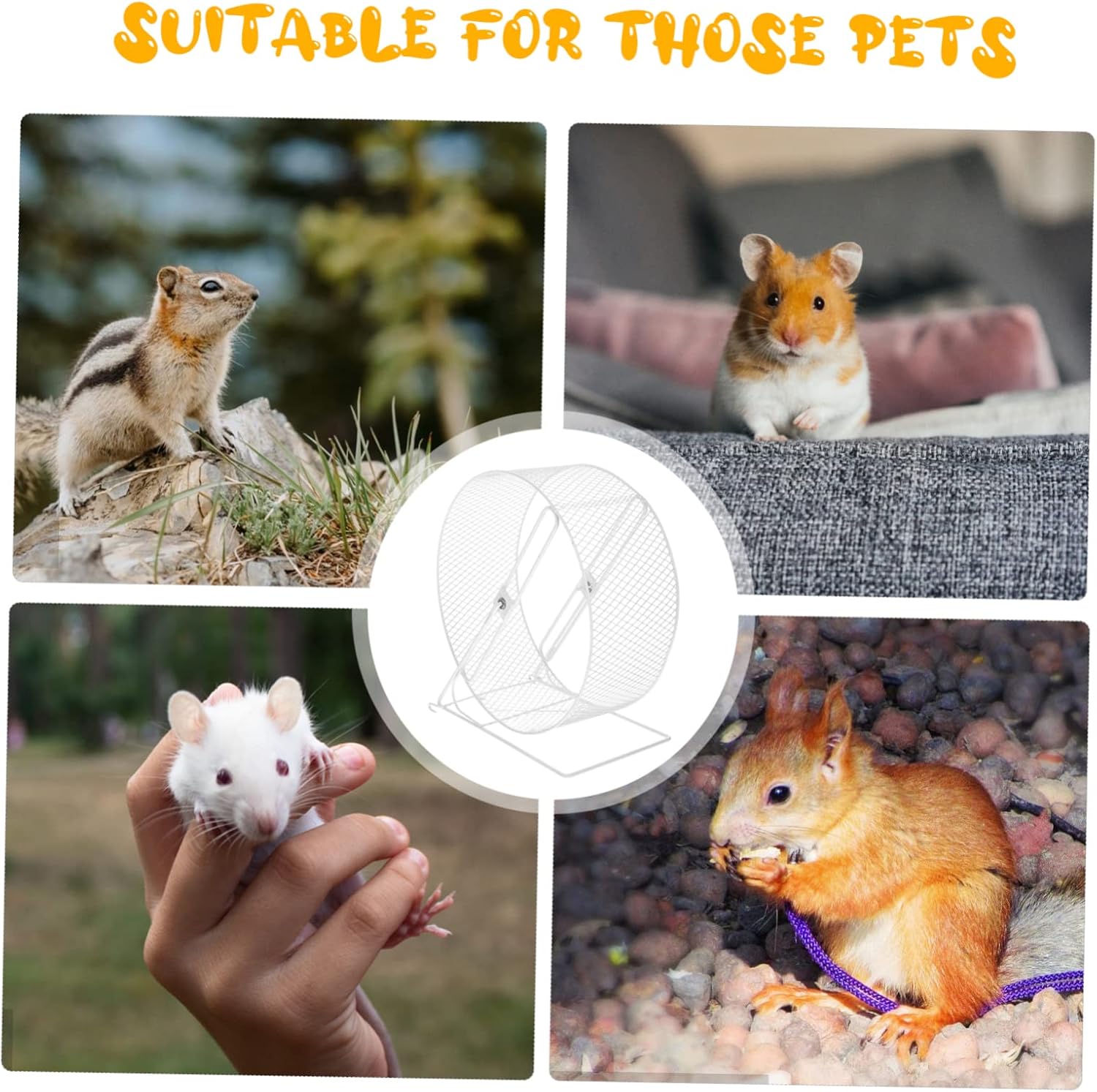 BESPORTBLE Silent Hamster Exercise Wheel for Small Animals Chinchilla Running Toy Quiet Design for Hedgehogs Gerbils and Mice for Indoor Play