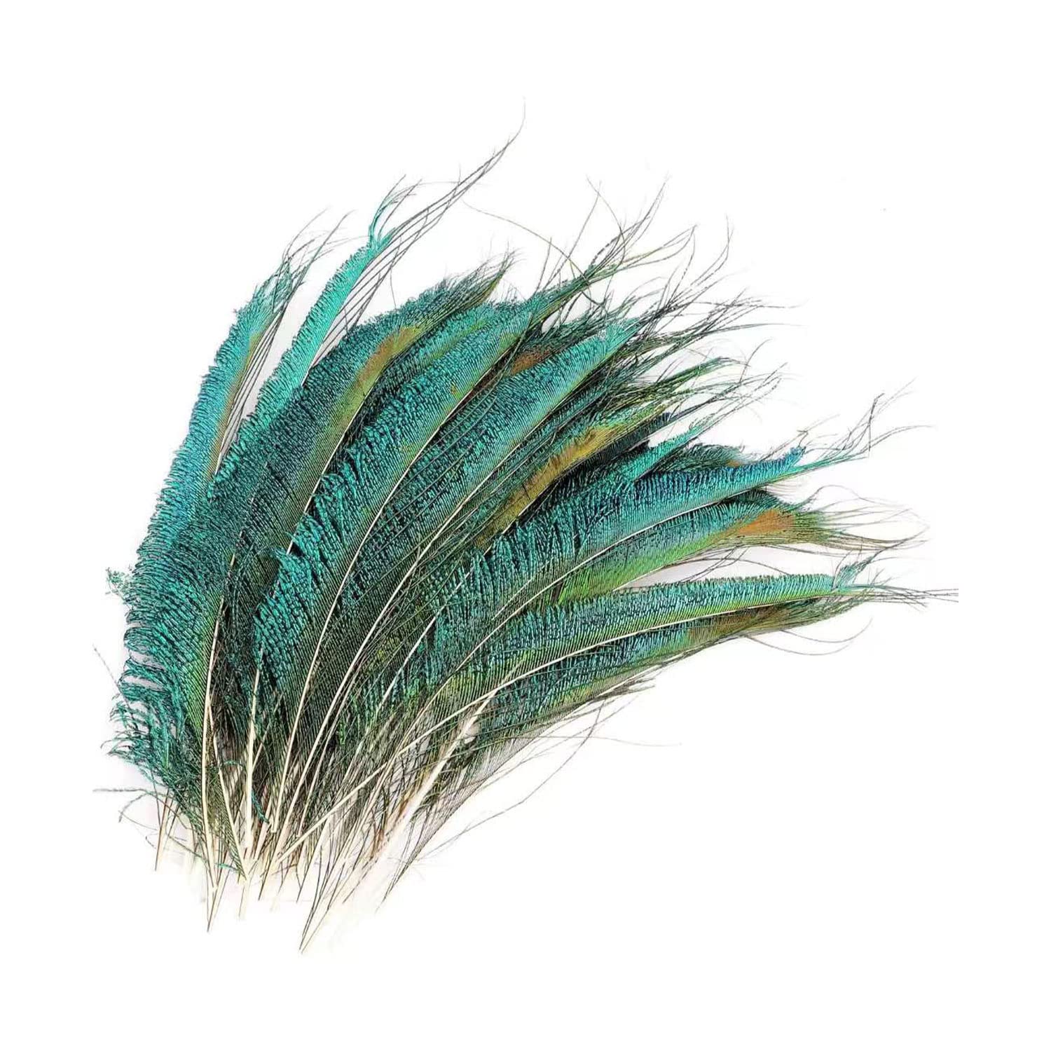 Trimming Shop 10 Pcs Natural Peacock Sword Feathers for Crafting, 25-30cm