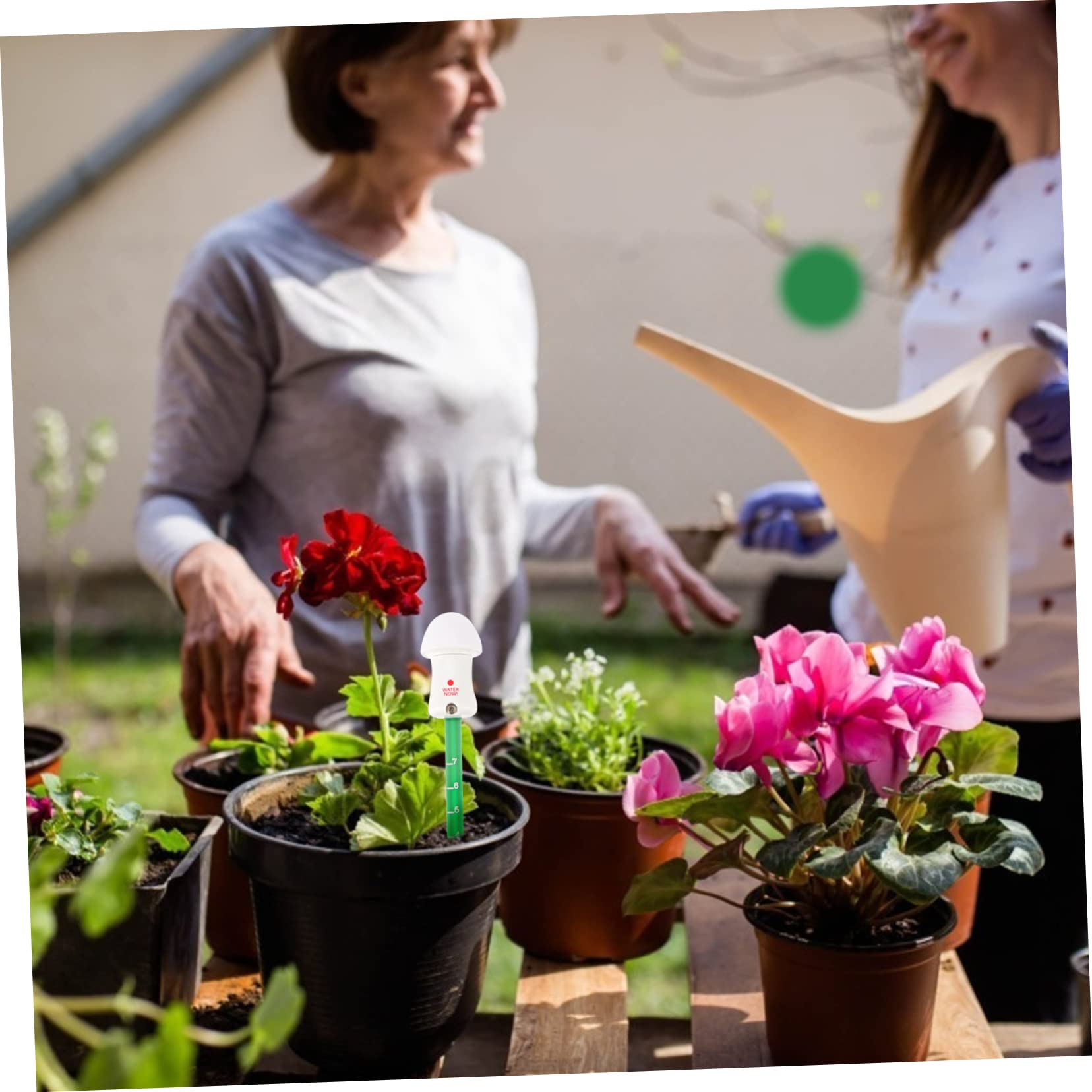 BESTonZON 3 Piezas Medidor de de Suelo Forma de con Luz LED Sensor de para Plantas y Jardín de Usar para Regalar