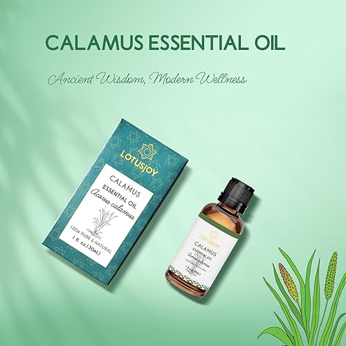 Miniatura 8 de Aceite esencial de calamus para difusor de cabello de piel, aceite de unción DIY, 1 onza
